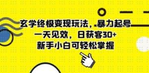 玄学终极变现玩法，暴力起号，一天见效，日获客30+，新手小白可轻松掌握 - 技研社-技研社