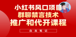 小红书风口项目日入300+，小红书群聊禁言技术代开项目，适合新手操作 - 技研社-技研社