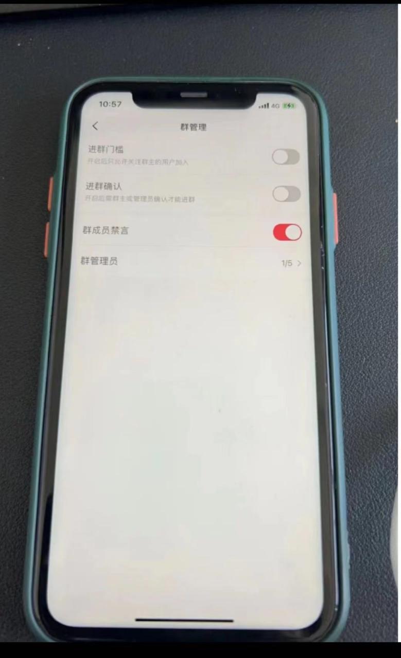 小红书风口项目日入300+,小红书群聊禁言技术代开项目,适合新手操作 小红书风口项目日入300+,小红书群聊禁言技术代开项目,适合新手操作