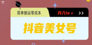 0粉无门槛暴力起号美女号，简单搬运月入1w＋ - 技研社-技研社