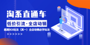 淘系直通车《低价·引流 全店·动销》超高ROI玩法（其一）全店动销必学玩法 - 技研社-技研社