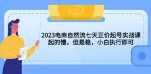 2023电商自然流七天正价起号实战课：起的慢，但是稳，小白执行即可 - 技研社-技研社