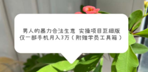 男人的暴力合法生意实操项目巨细版:仅一部手机月入3w(附赠学员工具箱) - 技研社-技研社