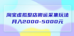 淘宝虚拟整店搬运采集玩法分享课：月入2000-5000元（5节课） - 技研社-技研社