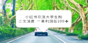 小红书引流大学生粉,变现项目,一单利润在200+(教程+资源) - 技研社-技研社