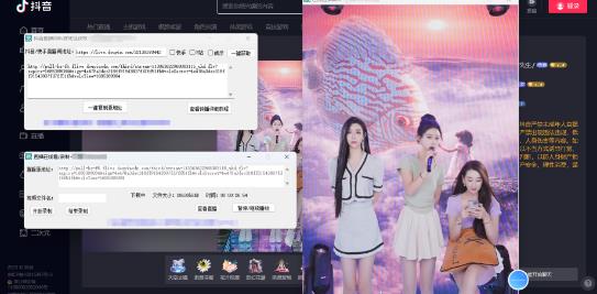 最新电脑版抖音/快手/B站直播源获取+直播间实时录制+直播转播【软件+教程】 最新电脑版抖音/快手/B站直播源获取+直播间实时录制+直播转播【软件+教程】