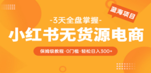 2023小红书无货源电商【保姆级教程从0到日入300】爆单3W - 技研社-技研社
