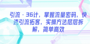 引流·36计，掌握流量密码，快速引流拓客，实操方法层层拆解，简单高效 - 技研社-技研社