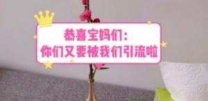 恭喜宝妈们:你们又要被我们引流了(教程+222g资料) - 技研社-技研社