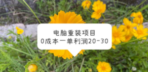 电脑系统重装项目:0成本一单利润20,30-技研社