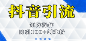 想搞抖音引流术?这份副业实操资料把路铺好了-技研社