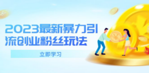 2023最新暴力引流创业粉丝玩法:单日被动引流50+创业粉-技研社