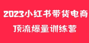 小红书电商爆量训练营,月入3W+!可复制的独家养生花茶系列玩法 - 技研社-技研社