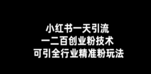 小红书一天引流一二百创业粉技术,可引全行业精准粉玩法 - 技研社-技研社