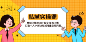 想搞私域实战课程?这份副业实操资料把路铺好了-技研社