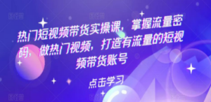热门短视频带货实战 掌握流量密码 做热门视频 打造有流量的短视频带货账号 - 技研社-技研社