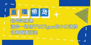 2023直播带货起号实操课，适合一场低于·10万gmv的小白进修 各种直播玩法 - 技研社-技研社