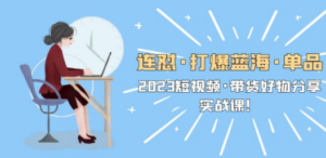 连怼·打爆蓝海·单品，2023短视频·带货好物分享·实战课 - 技研社-技研社