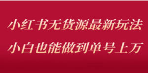 小红书无货源最新螺旋起号玩法，电商小白也能做到单号上万（收费3980） - 技研社-技研社