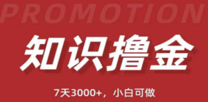 抖音知识撸金项目：简单粗暴日入1000+执行力强当天见收益(教程+资料) - 技研社-技研社