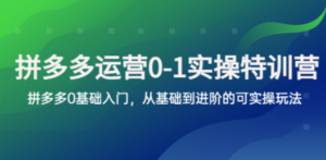 拼多多-运营0-1实操训练营，拼多多0基础入门，从基础到进阶的可实操玩法 - 技研社-技研社