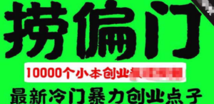 千款捞偏门小本创业小项目，总有一款适合你 - 技研社-技研社