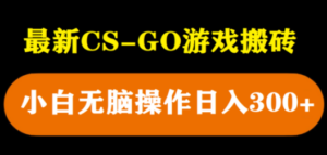最新csgo游戏搬砖游戏，无需挂机小白无脑也能日入300+ - 技研社-技研社