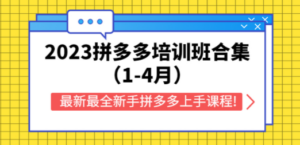 2023拼多多培训班合集（1-4月），最新最全新手拼多多上手课程! - 技研社-技研社