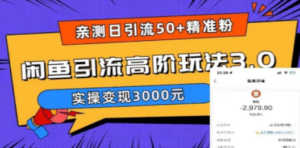 实测日引50+精准粉，闲鱼引流高阶玩法3.0，实操变现3000元 - 技研社-技研社
