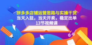 拼多多店铺运营思路与实操干货，当天入驻，当天开卖，稳定出单（13节课） - 技研社-技研社