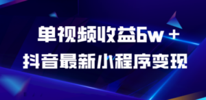 抖音最新小程序变现项目，单视频收益6w＋ - 技研社-技研社