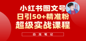 小红书图文号日引50+精准流量，超级实战的小红书引流课，非常适合新手 - 技研社-技研社