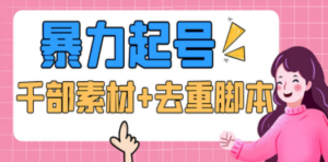 抖音暴力起号，短视频美女号起号项目+千部擦边资源+批量剪辑去重软件 - 技研社-技研社