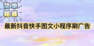 【简单粗暴】收费5980的最新抖音快手小程序掘金(详细教程) - 技研社-技研社