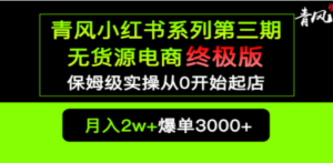小红书无货源电商爆单终极版【视频教程+实战手册】保姆级实操从0起店爆单 - 技研社-技研社