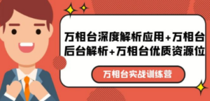 万相台实战训练课：万相台深度解析应用+万相台后台解析+万相台优质资源位 - 技研社-技研社