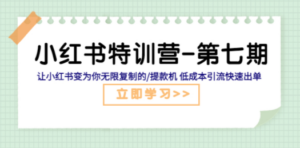 小红书特训营-第七期 让小红书变为你无限复制的/提款机 低成本引流快速出单 - 技研社-技研社