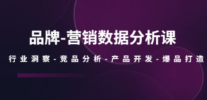 品牌-营销数据分析课,行业洞察-竞品分析-产品开发-爆品打造-技研社