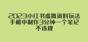 2023小红书虚拟资料玩法:手机中制作3分钟一个笔记不违规-技研社