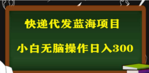 2023最新蓝海快递代发项目，小白零成本照抄也能日入300+ - 技研社-技研社