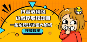 抖音表情包小程序变现项目，一条龙玩法详细大解析，视频版学习 - 技研社-技研社