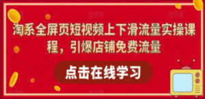 淘系-全屏页短视频上下滑流量实操课程，引爆店铺免费流量（87节视频课） - 技研社-技研社