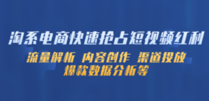 淘系电商快速抢占短视频红利：流量解析 内容创作 渠道投放 爆款数据分析等 - 技研社-技研社