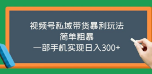 视频号私域带货暴利玩法，简单粗暴，一部手机实现日入300+ - 技研社-技研社