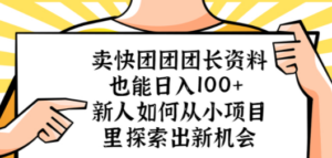 卖快团团团长资料也能日入100+ 新人如何从小项目里探索出新机会 - 技研社-技研社