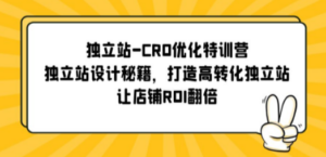 独立站-CRO优化特训营，独立站设计秘籍，打造高转化独立站，让店铺ROI翻倍 - 技研社-技研社