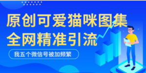 黑科技纯原创可爱猫咪图片，全网精准引流，实操5个VX号被加频繁 - 技研社-技研社