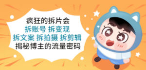 疯狂的拆片会：拆账号 拆变现 拆文案 拆拍摄 拆剪辑 揭秘博主的流量密码 - 技研社-技研社