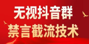 抖音粉丝群无视禁言截流技术:抖音黑科技,直接引流-技研社