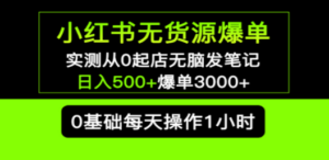 小红书无货源爆单:实测从0起店无脑发笔记,日入500+爆单3000+长期项目可多店-技研社